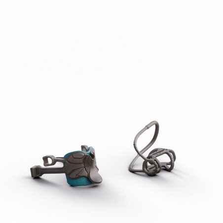 HORSE CLUB Lisa & Storm