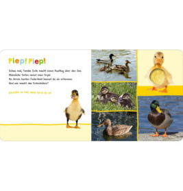 Hör mal rein, wer kann das sein? Natur