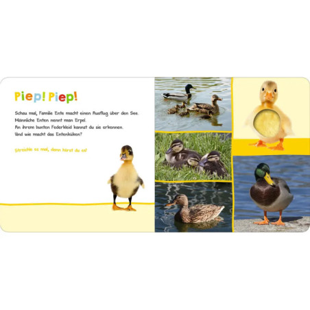 Hör mal rein, wer kann das sein? Natur