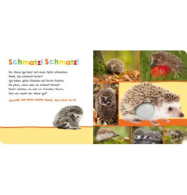 Hör mal rein, wer kann das sein? Natur