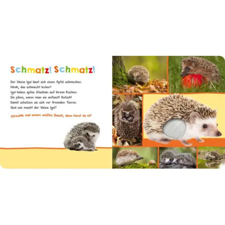 Hör mal rein, wer kann das sein? Natur