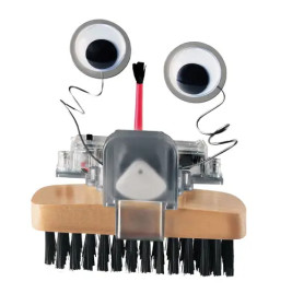 Bürsten Roboter