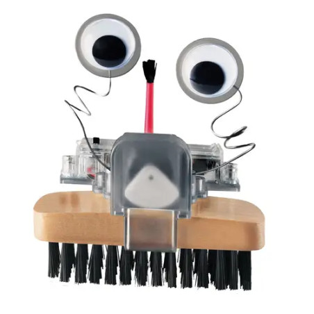 Bürsten Roboter