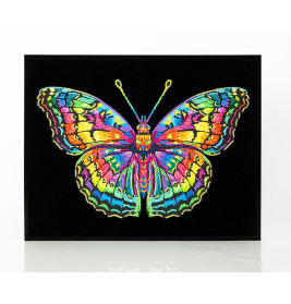 Bunte, perlenbesetzte Schmetterlingsform auf schwarzem Hintergrund in schwarzem Rahmen.