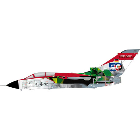 Panavia Tornado IDS 50 Years