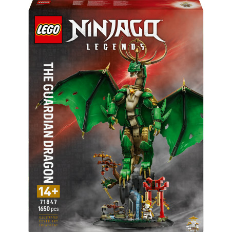 NIN Der Wächterdrache