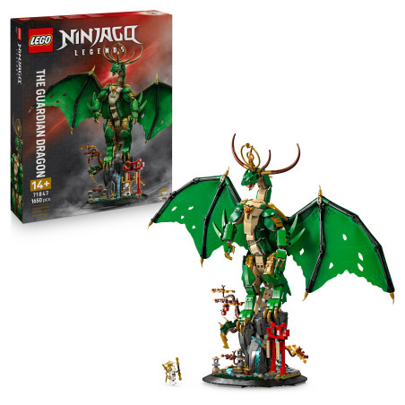 NIN Der Wächterdrache