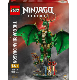 NIN Der Wächterdrache