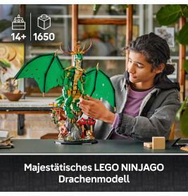 NIN Der Wächterdrache