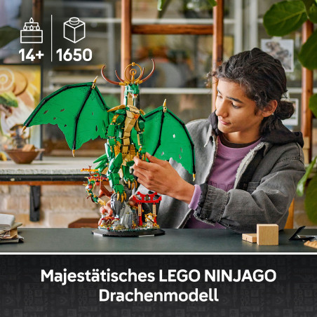 NIN Der Wächterdrache