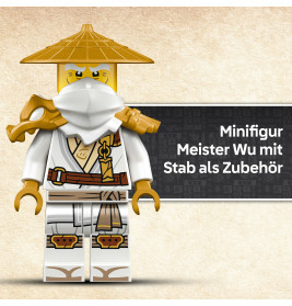 NIN Der Wächterdrache