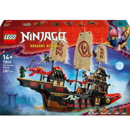 NIN Der Tempel-Flugsegler