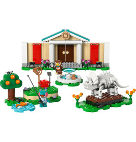 Animal Crossing
