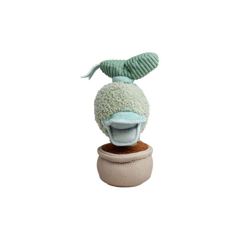 Disney Plants Donald, 20cm