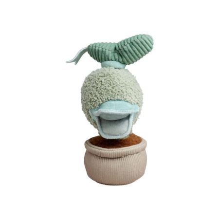 Disney Plants Donald, 20cm