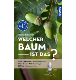 Buchcover mit grünen Eicheln auf Eichenblättern und deutschem Titel zur Bestimmung europäischer Bäume und Sträucher.