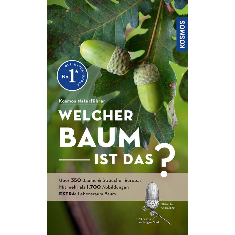 Buchcover mit grünen Eicheln auf Eichenblättern und deutschem Titel zur Bestimmung europäischer Bäume und Sträucher.
