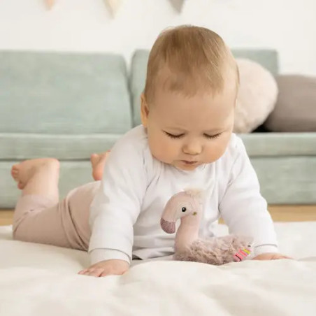 Ring-Greifling Flamingo