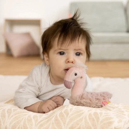 Ring-Greifling Flamingo