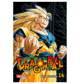 Dragon Ball Massiv 14