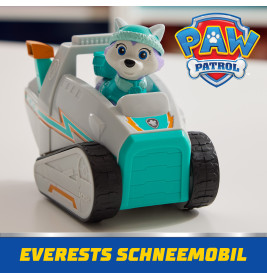 PAW Basic Vehicle Everest Snow Plow Chase-Neige