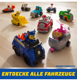 PAW Basic Vehicle Ryder