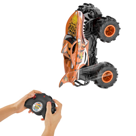 Hot Wheels RC Monster Trucks