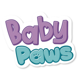 Babies Paws Kitten