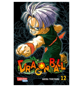 Dragon Ball Massiv 12