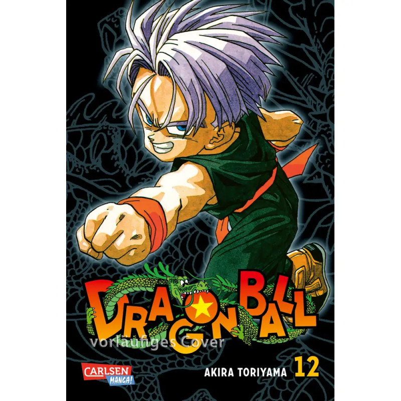 Dragon Ball Massiv 12