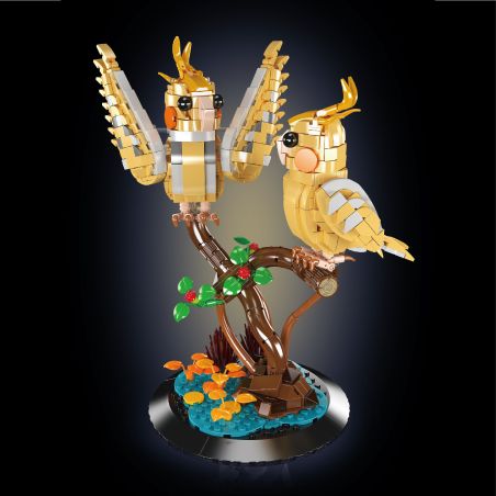 Black-capped Lory Black-capped Lory