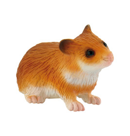 Hamster