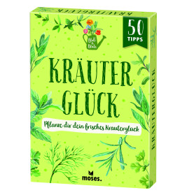 PhänoMINT 75 supercoole Experimente rund um Kraft