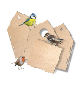 Drei kleine Vögel sitzen neben Holzteilen für einen Nistkastenaufbau, alles vor weißem Hintergrund.