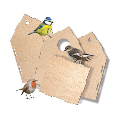 Drei kleine Vögel sitzen neben Holzteilen für einen Nistkastenaufbau, alles vor weißem Hintergrund.