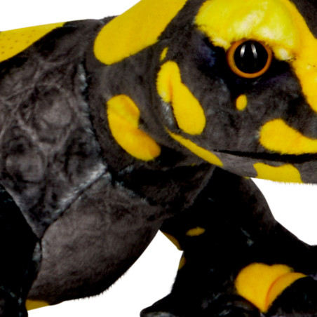 Feuersalamander - Nature Zoom