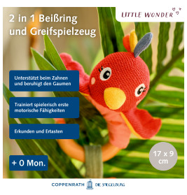 Holz-Ringrassel Paradiesvogel