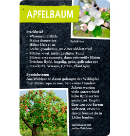 50 Bäume kennen & erleben - Nature Zoom