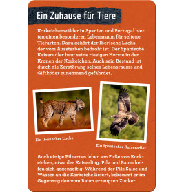 50 Bäume kennen & erleben - Nature Zoom