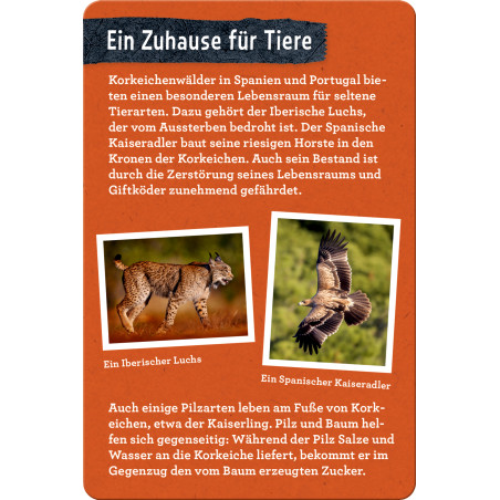 50 Bäume kennen & erleben - Nature Zoom