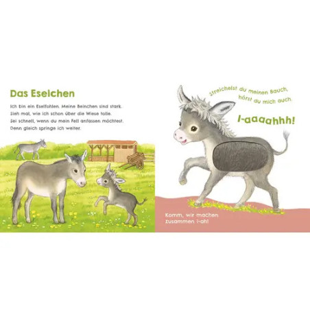 Hör mal, wie ich miauen kann