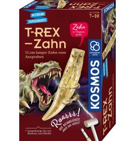 T-rex - Zahn
