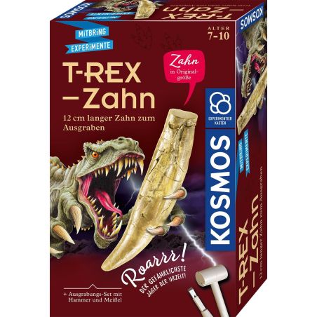 T-rex - Zahn