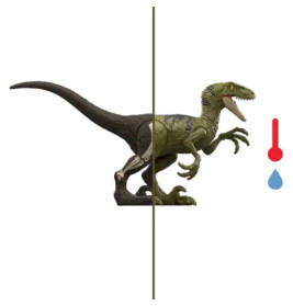 Dino Reveal Sortiment