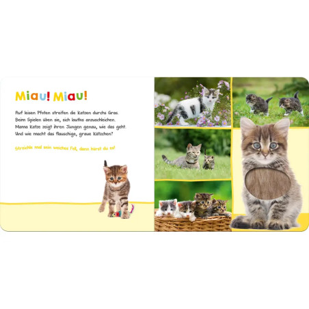 Hör mal rein, wer kann das sein? Lieblingstiere