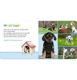 Hör mal rein, wer kann das sein? Lieblingstiere