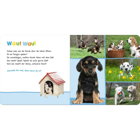 Hör mal rein, wer kann das sein? Lieblingstiere