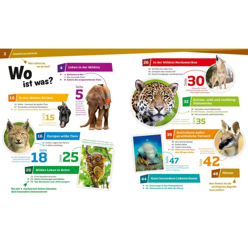 WAS IST WAS Band 13 Wilde Tiere. Ungezähmt in der Wildnis