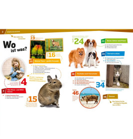 WAS IST WAS Band 72 Haustiere. Unsere liebsten Freunde