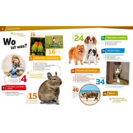 WAS IST WAS Band 72 Haustiere. Unsere liebsten Freunde